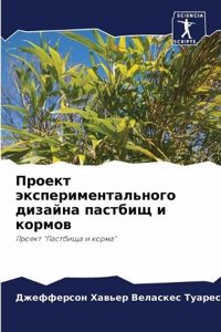 Проект экспериментального дизайна пастб&