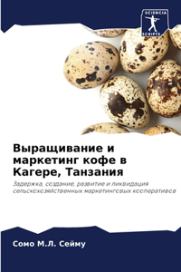 Выращивание и маркетинг кофе в Кагере, Та