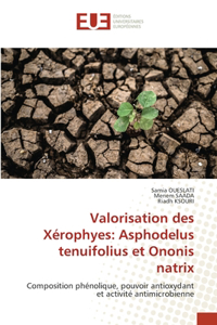 Valorisation des Xérophyes