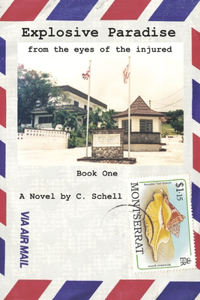 Explosive Paradise: From the Eyes of the Injured: Book One: Title in Mind Volume 1