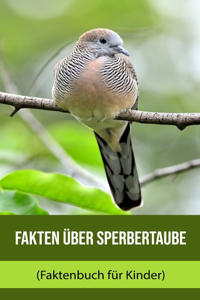 Fakten über Sperbertaube (Faktenbuch für Kinder)