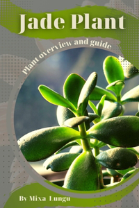 Jade Plant