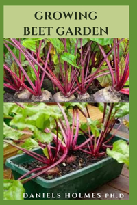 Growing Beet Garden