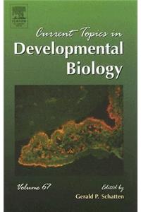 Current Topics in Developmental Biology