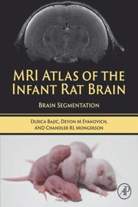 MRI Atlas of the Infant Rat Brain