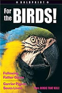 Steck-Vaughn Boldprint Anthologies: Leveled Reader 6pk Orange for the Birds!