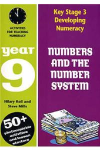 Numbers and the Number System: Year 9