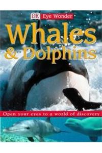 Whales and Dolphins