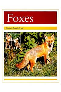 Foxes