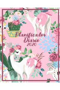 Planificador Diario 2020