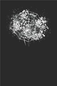 Cobweb