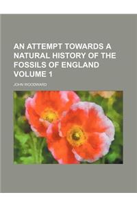 An Attempt Towards a Natural History of the Fossils of England Volume 1