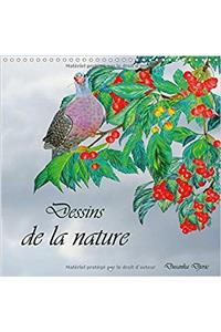 Dessins De La Nature 2017