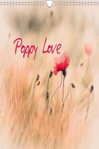 Poppy Love 2018