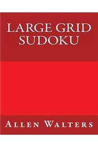 Large Grid Sudoku