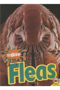 Fleas