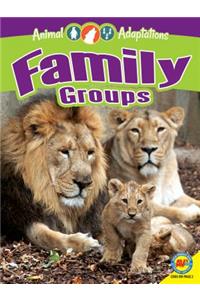 Family Groups