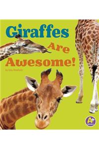 Giraffes Are Awesome!