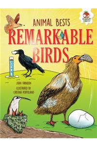 Remarkable Birds