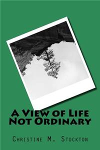View of Life Not Ordinary