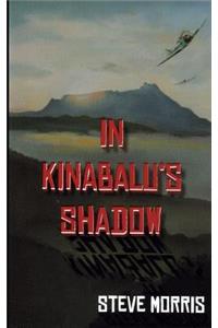 In Kinabalu's Shadow