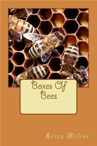 Boxes Of Bees
