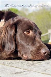 Flat Coated Retriever January Notebook Flat Coated Retriever Record, Log, Diary, Special Memories, To Do List, Academic Notepad, Scrapbook & More
