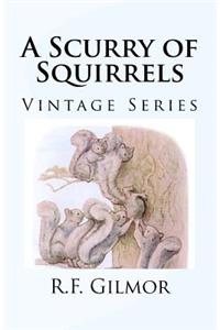 A Scurry of Squirrels: Vintage Series