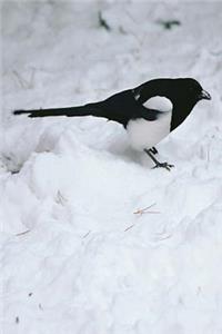 Journal Wild Bird In Snow