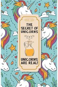 The Secret of Unicorns