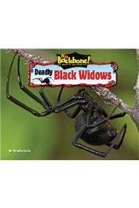 Deadly Black Widows