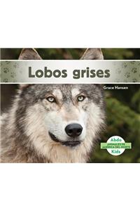 Lobos Grises (Gray Wolves)