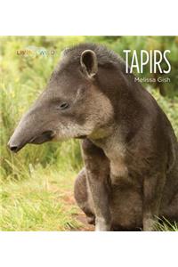 Tapirs