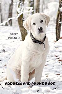 Address and Phone Book