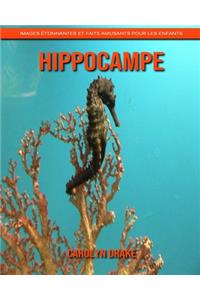 Hippocampe