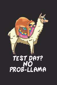 Faultier reitet auf Lama Notizbuch