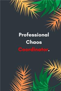 Professional Chaos Coordinator