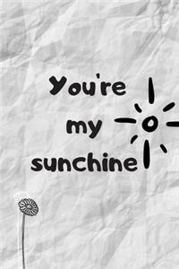 You Are My Sunchine