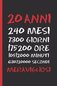 20 Anni Meravigliosi