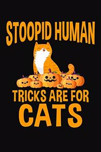Stoopid Human Tricks Are For Cats