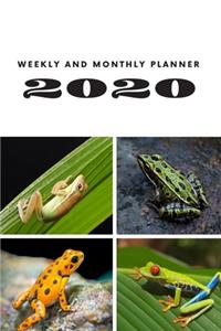 Weekly and Monthly Planner 2020