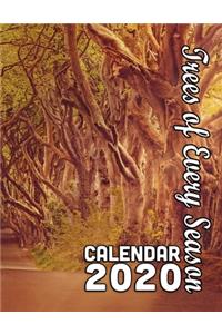 Trees of Every Season Calendar 2020