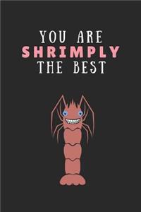 You Are Shrimply the Best