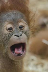 Monkey Notebook - Journal Gift for Cute Animal Lovers