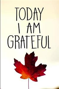 Today I Am Grateful