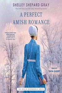 Perfect Amish Romance