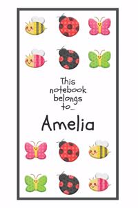 Amelia's Notebook