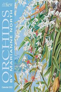 Kew Gardens: Orchids by Marianne North Mini Wall Calendar 2022 (Art Calendar)