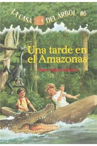 Tarde En El Amazonas