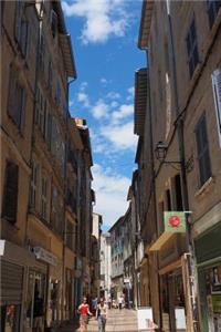 Narrow Shopping Street in Avignon, France Journal